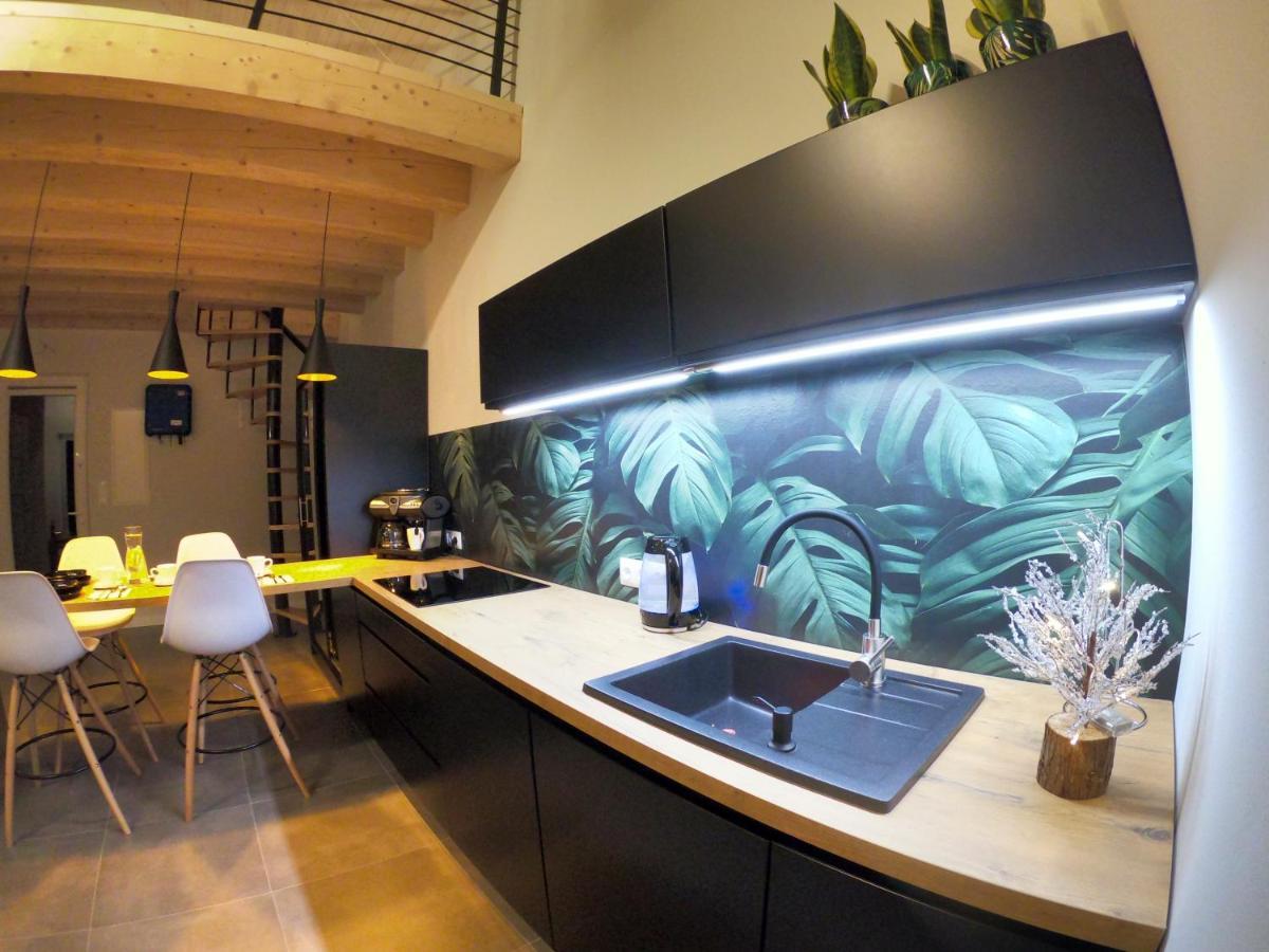 마이스타코비체 Sniezka House 빌라 외부 사진
